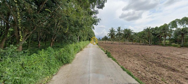 ขาย/ให้เช่าที่ดิน 35-3-71 ไร่ ใกล้ท่าเรือแหลมฉบัง ชลบุรี