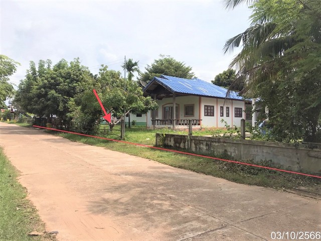   รายละเอียดเพิ่มเติม Code ID : PKK02-14271  ราคาขาย  4,135,000 บาท- ขนาดพื้นที่ :  11027.00 ตร.ว. - พื้นที่ใช้สอย :  84.00 ตร.ม. - จำนวนห้อง :  2 ห้องนอน 1 ห้องน้ำ  - ที่จอดรถ :    1   คัน- บ้านหันทางทิศ : - พิกัดทรัพย์ : https://maps.app.goo.gl/Ewv5mMbG2MREZ82d9    สถานที่ใกล้เคียง- ใกล้วัดพระใหญ่- ใกล้โรงพยาบาลเสนางคนิคม - ใกล้โลตัส โกเฟรซ เสนางคนิคม- ใกล้JC อำนาจเจริญ สอบถามเพิ่มเติม/นัดชมโทร. 097-419-5982(พลอย)โทร. 096-932-4624(ออมสิน)Line : @panaya (มี@ด้านหน้า)ปรึกษา