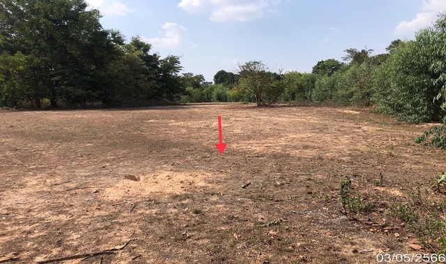 ขายที่ดินว่างเปล่าใกล้ ตลาดสดเทศบาลน้ำปลีก อ.เมืองอำนาจเจริญ จ.อำนาจเจริญ PKK01-11807