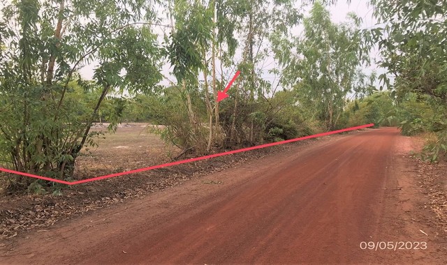 ขายที่ดินว่างเปล่าใกล้ ร้านวิชัยพาณิชย์ อ.ปทุมราชวงศา จ.อำนาจเจริญ PKK01-11385