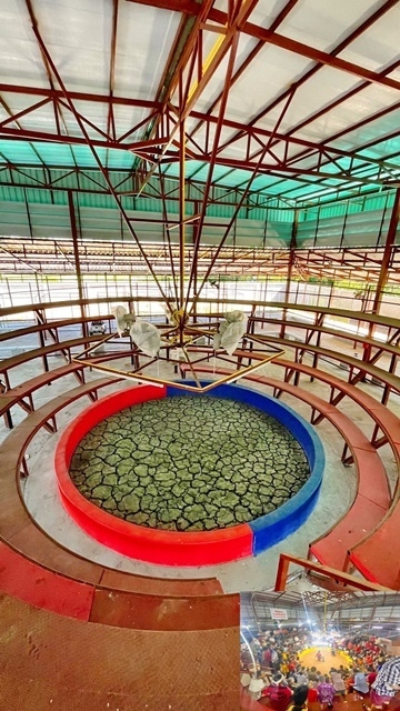 ขายบ้านชั้นเดียว และสนามไก่ชน มีใบอนุญาติ พร้อมที่ดิน 2 ไร่  10ลบ. 2นอน 5น้ำ 20จอดรถ ลำลูกกา คลอง10-12 9.9 ล้านบาท Robinswood Golf Club โลตัส บิ๊กซีSell house and Cockfighting Field for sale has a license 10million baht  2 rai of land and  2bed 5bath Lumlooka Klong10-12 20parking spaces. Robinswood Golf Club Lotus BigCซ.ลำลูกกา219-229 ถ.ลำลูกกา ตำบลบึงทองหลาง อำเภอลำลูกกา จังหวัดปทุมธานี2 ห้องนอน5 ห้องน้ำเพื่อประกอบกิจการ หรือให้เช่าได้ มีผู้เช่าพร้อม- เนื้อที่ 2 ไร่- พร้อมสนามไก่ชน มีใบอนุญาติ- จ�