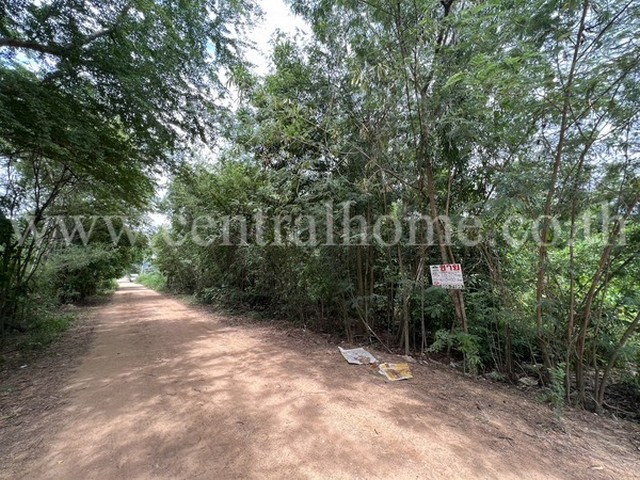 รหัสทรัพย์  4594ที่ดินเปล่า 1 ไร่ 354 ตารางวา คลองหลวง คลองสี่ที่ตั้ง ถ.คลองหลวง ต.คลองสี่ อ.คลองหลวง จ.ปทุมธานี 12120รายละเอียดทรัพย์- ขนาดเนื้อที่ดิน 1 ไร่ 354 ตารางวา- ขนาดพื้นที่  *  ตารางเมตรสถานที่และทำเลใกล้เคียง- ห้างสรรพสินค้า ฟิวเจอร์พาร์ค รังสิต- ห้างเมเจอร์ สวนสนุกดรีมเวิลด์- Tesco Lotus, Big c, แม็คโคร- ตลาดไทย, ตลาดคลองสี่เมืองใหม่- มหาวิทยาลัยธรรมศาสตร์, มหาวิทยาลัยอิสเทิ