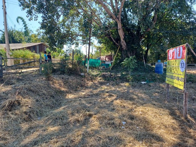 ขายที่นาดินดี 2-1-83 ไร่  ใกล้วัดบ้านแม่กึย  อ.เมือง จ.ลำปาง   ZK241