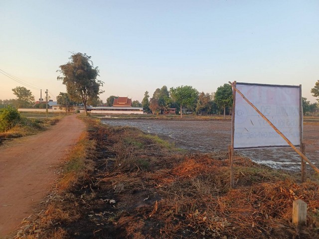 ขายที่นา เแปลงใหญ่  50-0-0  ไร่ หลังวัดบ้านเนินมะครึด  อ.วัดโบสถ์ จ.พิษณุโลก  ZK239