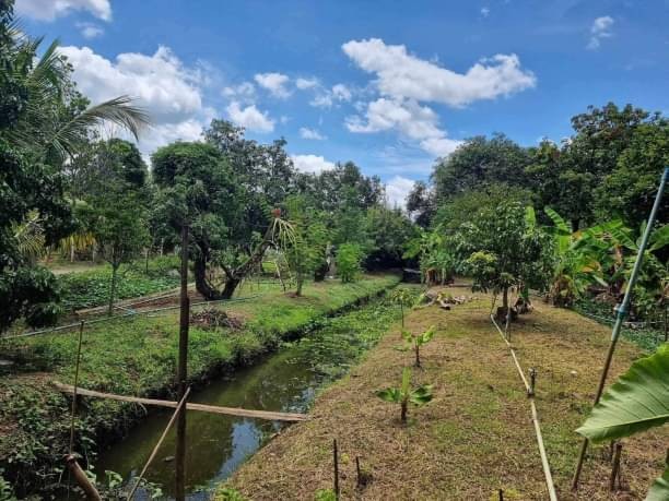 ตามหาบ้านสวนติดเมือง เชิญทางนี้ เพียง 17.9 ล้าน 1 ไร่ 1 งาน 96 ตรว. #ดอนแก้ว #สารภี เนื้อที่กว้างขวาง บรรยากาศดี ร่มรื่น #บิ้วอินเฟอร์นิเจอร์ครบ #หิ้วกระเป๋าพร้อมเข้าอยู่ได้เลย #ใกล้นานาชาติUnityเนื้อที่ 1 ไร่ 1 งาน 96 ตรว.พื้นที่ใช้สอย 500 ตารางเมตร4 ห้องนอน 4 ห้องน้ำบิ้วอิน ทุกห้อง แอร์ครบสระว่ายน้ำ 3×6 เมตรศาลาพักผ่อนจอดรถได้ 4 คันเดินทางสะดวกถนนวงแหวนรอบ 3 แยกกองทราย สะเมิงถ