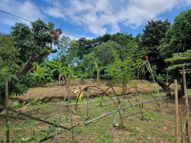 บ้านสวนติดเมือง เพียง 17.9 ล้าน 1 ไร่ 1 งาน 96 ตรว. ดอนแก้ว สารภี เนื้อที่กว้าง บรรยากาศดี ร่มรื่น เฟอร์นิเจอร์ครบ พร้อมเข้าอยู่ได้เลย