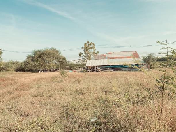 ติดถนน วิวทุ่งนา ขายที่ดินแปลงละ 4.5 ล้าน เนื้อที่ 341 ตรว. น้ำแพร่ หางดง มี 2 แปลง น้ำ ไฟ เข้าถึง ที่ดินถมแล้ว ใกล้แหล่งชุมชน