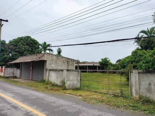 ทำเลสวย ติดถนนดำ ขายเพียง 1.4 ล.เท่านั้น 372 ตรว. บ้านกลาง สันป่าตอง ใกล้แหล่งชุมชน ปรับที่ดินเรียบร้อย พร้อมสร้างบ้าน หอพัก ร้านค้าได้เลย