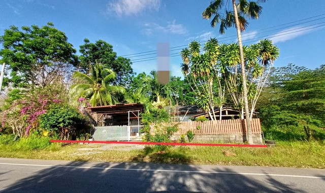 ขายบ้านเดี่ยว      อำเภอเมืองสตูล สตูล (PKK02-13679)