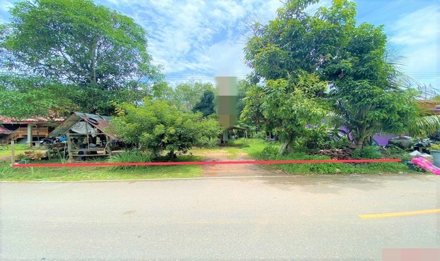 รายละเอียดเพิ่มเติมCode ID : PKK02-12423ราคาขาย      1,899,000 บาท- ขนาดพื้นที่ :   658 ตร.ว (1 ไร่ / 2 งาน / 58 ตร.ว) - พื้นที่ใช้สอย :    143.70 ตร.ม- จำนวนห้อง :   3 ห้องนอน 1 ห้องน้ำ- ที่จอดรถ :      1-2 คัน- บ้านเดี่ยว  :  1 ชั้น- บ้านเดี่ยวหันทางทิศ : -- อายุอาคาร :    21 ปีพิกัดทรัพย์  :      https://maps.app.goo.gl/B6YMYZQszSzV2U7R7สถานที่ใกล้เคียง- ใกล้โรงเรียนบ้านท่าชะมวง- ใกล้โรงเรียนบ้านโคกพยอม- ใกล้โรงเรียนบ้านปากบาง- ใกล้โรงเรียนบ้านปากละงูสอบถ