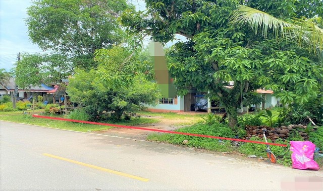 ขายบ้านเดี่ยว           อำเภอละงู สตูล (PKK02-12423)