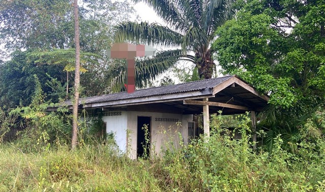 ขายบ้านเดี่ยว          อำเภอท่าแพ สตูล (PKK02-13807)