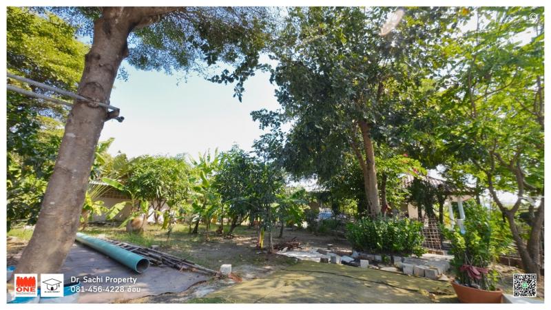 ขายที่ดินพร้อมสิ่งปลูกสร้าง เนื้อที่ 1 ไร่ 50 ตรว. อ.บางเลน จ.นครปฐม ใกล้ดูบัว คาเฟ่ ฟาร์ม, วัดบางพระ (หลวงพ่อเปิ่น)