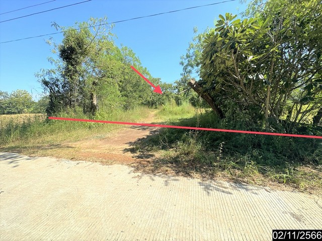  รายละเอียดเพิ่มเติม Code ID : PKK02-15020  ราคาขาย  1,857,000 บาท- ขนาดพื้นที่ :   2910.00 ตร.ว.- พื้นที่ใช้สอย :  93.50 ตร.ม. - จำนวนห้อง :  2 ห้องนอน 2 ห้องน้ำ  - ที่จอดรถ :   1    คัน- บ้านหันทางทิศ : - พิกัดทรัพย์ : https://maps.app.goo.gl/XhAyvva9QeeJGa5z8    สถานที่ใกล้เคียง- ใกล้โรงพยาบาลพนา- ใกล้มินิบิ๊กซี พนา-อำนาจเจริญ - ใกล้โรงพยาบาลส่งเสริมสุขภาพตำบลนาสะแบง- ใกล้กวางสร้อยศาลากลางบ้าน สอบถามเพิ่มเติม/นัดชมโทร. 097-419-5982(พลอย)โทร. 096-932-4624(