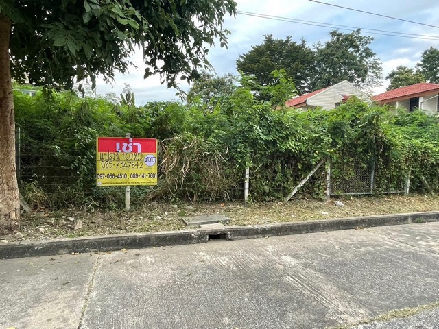 ZJ083 เช่าที่ดินสวยทำเลดี เนื้อที่ 160 ตารางวา ซอย ลาดพร้าว101แยก5   คลองจั่น  บางกะปิ รายละเอียด - พื้นที่ 160 ตารางวา หน้ากว้าง 14 เมตร ลึก 6  เมตร- เหมาะเช่าระยะยาว- คาเฟ่ ร้านกาแฟ Home officeพิกัด https://maps.app.goo.gl/aD7VdeuVwyZyp97n7สถานที่ใกล้เคียง -bts ลาดพร้าว101 -รพ. ลาดพร้าว -รพ.เวชธานี -ม.Rbac -เดอะมอลล์ บางกะปิ -แม็คโคร ลาดพร้าว -ตะวันนา-โลตัส บางกะปิ-ตลาดบางกะปิ ราคาเดือนล่ะ 40,000สนใจติดต่อ085-7347842 แตงกวา089-1446505 จั้