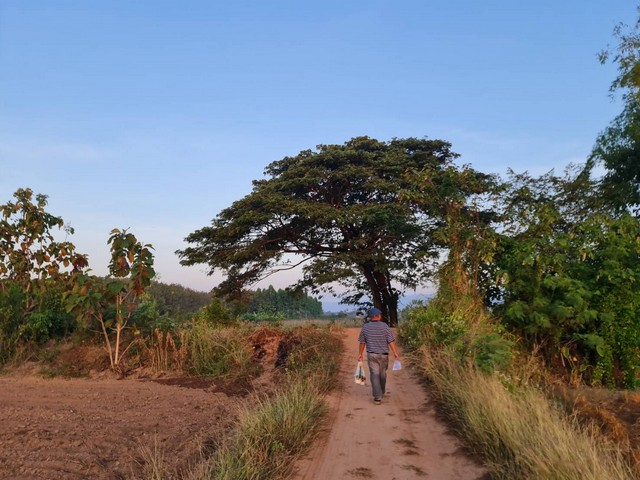 ดวงเปิดทรัพย์นำพาโชค ขายที่ติดน้ำโขง ต.กุดบง อ.โพนพิสัย จ.หนองคาย หน้าติดถนนโยธาธิการ หลังติดแม่น้ำโขง ไร่ละ 2ล้านบาท โทร 096-882-1857