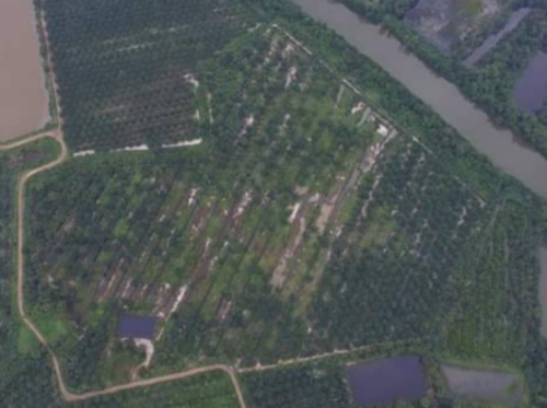 3568 ขายที่ดินสวนมะพร้าวผสมสวนปาล์ม ตั้งอยู่ที่ ตำบลทุ่งคา อำเภอเมืองชุมพร จังหวัดชุมพร– ที่ดินมีโฉนด จำนวน 58 ไร่ ปลูกมะพร้าวอ่อน มะพร้าวแกง และปาล์ม เต็มจำนวนพื้นที่ทั้งหมด– ที่ดินด้านหน้าติดถนนทางสาธารณประโยชน์ ด้านหลังทั้งหมดติดคลองนาคราช– ด้านข้างติดสวนปาล์มแสงทอง– ห่างสถานีรถไฟทุ่งคาเพียง 2 กม.– ห่างถนนสายเอเซีย AH เพียง 4 กม.ราคาขาย38,000,000 ล้านบาทถ้วนค