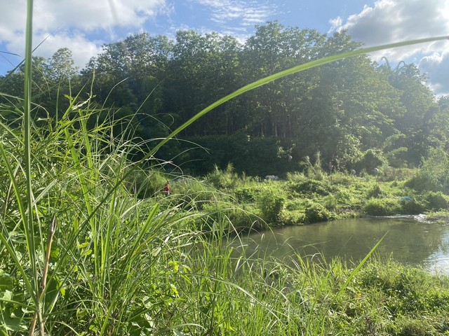 ขายที่ดินติดลำธาร ลำน้ำมวบ จ.น่าน เมืองเหนือ ต.พงษ์ อ.สันติสุข จ.น่าน เนื้อที่ 3 ไร่ 35 ตร.ว ราคา 800,000 บาท เอกสารสิทธิ์ นส.3 ก.ใกล้แหล้งชุมชนน้ำไฟเข้าถึง วิวงามธรรมชาติสมบูรณ์ ทิวเขาล้อมรอบ ลำธารผ่านข้างแปลงทั้งแถบ รูปที่ดินเป็นรูปสี่เหลี่ยมคางหมู น้ำใสไหลรินฉ่ำชุ่มเย็นสบายชุ่มฉ่ำสดชื่นเย็นสบายตลอดปี ไอหมอกยามเช้าแสนบริสุทธิ์ ท่ามกลางธรรมชาติ สดชื่นสวยงามตร