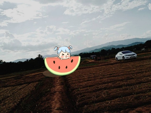 ขายที่ดินริมแม่น้ำน่าน ติดแม่น้ำน่าน ขนาดเนื้อที่ 1 ไร่ 5 ตร.วา มีที่งอก 3งาน ทำประโยชน์ได้ตาม ป.วิ.พ. มาตรา 1308 เช่ารวม  3000 บาท/ปี ขาย 800,000 บาท ค่าใช้จ่ายวันโอนครึ่งครึ่ง ซื้อผ่อนเจ้าของได้มีพื้นที่ส่วนงอก ฉ8971 ต.ศรีภูมิ อ.ท่าวังผา จ.น่านเอกสารสิทธิ์โฉนดครุฑแดง  วิวภูเขาล้อมรอบติดแม่น้ำบรรยากาศดีธรรมชาติสมบูรณ์สุดๆน้ำใสไกลรินชุ่มฉ่ำเย็นสบายตลอดปี ติดทางสาธารณประ