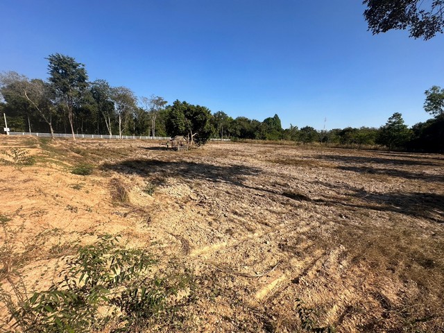 ขายที่ดินเปล่า 2 ไร่ ติดถนน ในเมืองอุบลราขธานี มีน้ำไฟพร้อม เหมาะแก่การลงทุน ใกล้สถานีรถไฟบุงหวาย เดินทางสะดวก