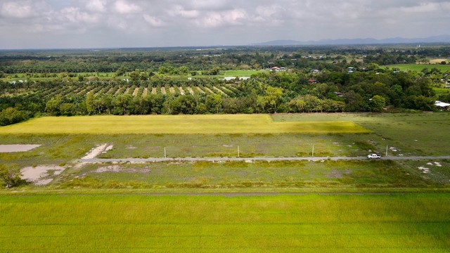 ที่ดินเงินผ่อน บ้านนา บ้านพริก จ.นครนายก  เฟส 2 ผ่อนง่าย ไม่มีดอกเบี้ยแบ่ง 200 ตรว. ราคา  700,000 บาท(เจ็ดแสนบาทถ้วน)แบ่ง 100 ตรว. ราคา  380,000 บาท (สามแสนแปดหมื่นบาทถ้วน)ดาวน์ 10%  เท่านั้น  ผ่อน 40 เดือนไม่มีดอกเบี้ยใช้บัตรประชาชนใบเดียว  จองล็อค  10,000 บาท-  ห่างถนน 4 เลน  1 กม.-  ถนนสาธารณะ  7  เมตร-  ห่างจากอำเภอวิหารแดง  10  กม.-  น้ำไฟหน้าแปลง  เข้าจากเส้น รังสิต-นครนายก  20 กม.  แหล่งชุมชน  บรรยากาศ