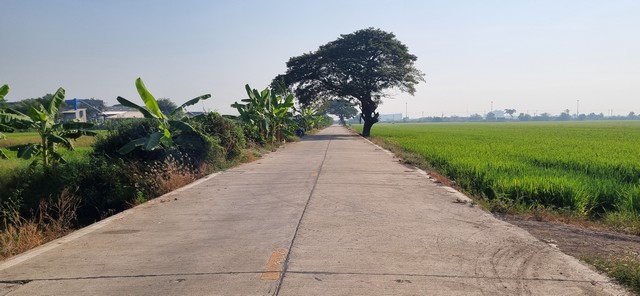 ที่ดินถมแล้ว คลอง4 คลองหลวง  2 ไร่ ทะลุถนนเลียบมอเตอร์เวย์ได้ น้ำไฟพร้อม ติดถนนคอนกรีต