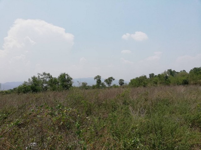 ขายที่ดิน ติดAH1 สวยมากมาย ติดถนนพหลโยธิน ที่ดินติดถนนเอเซีย หน้ากว้างติดถนนหลักสายเอเซียยาว แปลงที่ดินรูปสี่เหลี่ยมผืนผ้า เนื้อที่ 3-1-40 ไร่ ฉ.11317 ต.ตากออก อ.บ้านตาก จ.ตาก   เช่า 2000 บาท/ไร่/ปี  แบ่งโฉนดขาย ราคาไร่ละ 2,500,000 บาท แบ่งโฉนดขายได้ ติดถนนสายหลักใหญ่ของแผนที่ประเทศไทยเส้นทางหลักขึ้นสายเหนือ AH1 ทำเลดีนี่เลย ขายที่สวยติดถนนพหลโยธิน  ที่ดินติดถนนเอเซีย AH1  หน้าก