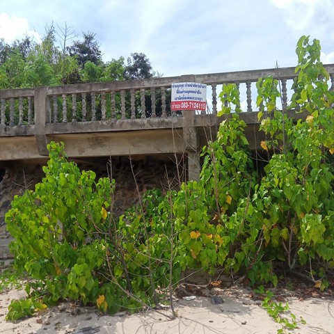 ขายที่ดิน ติดทะเล หาดส่วนตัว 119 ตร.วา และ 145 ตร.วา  ราคา 6.8ลบ. และ 7.3ลบ. ที่ดินริมหาดส่วนตัว ที่ดินติดทะเลหาดสะพลี ถัดไปคือหาดทุ่งวัวแล่น ทะเลสวยน้ำใสสีครามทรายขาว ทิวทัศน์สดชื่นชุ่มฉ่ำเย็นสบาย สวย โดดเด่น สง่า หายาก เหลือไม่กี่แปลงแล้วในแถบนั้น ตรงอ่าวนี้ สโลแกนคือ หาดสวย น้ำใส หนึ่งในสยาม ได้รับการรับรองจากกรมทรัพยากรและสิ่งแวดล้อม อ่าวสะพลีมีจุดเด่นได้รั