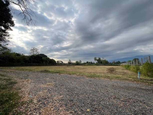 ขายที่ดินวิวดอยสุเทพแบบฉ่ำๆ ขายตรว.ละ 14,500 บาท มี 2 แปลง 320 และ 400 ตรว. โซนเหมืองแก้ว แม่ริม เข้าตัวเมืองเชียงใหม่ 15 กม.