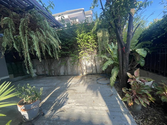 ให้เช่าบ้านเดี่ยว 2 ชั้น 61.7 ตรว. โครงการอารียาชบา ซอยนวลจันทร์ 56 ถนนนวลจันทร์ ต่อเติมพร้อมอยู่