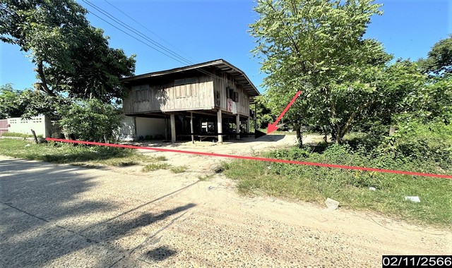   รายละเอียดเพิ่มเติม Code ID : PKK02-14812  ราคาขาย  1,139,000 บาท- ขนาดพื้นที่ :   322.00 ตร.ว.- พื้นที่ใช้สอย : 78.50 ตร.ม.  - จำนวนห้อง :   2 ห้องนอน 1 ห้องน้ำ - ที่จอดรถ :   1    คัน- บ้านหันทางทิศ : พิกัดทรัพย์ : https://maps.app.goo.gl/46w7EqxeifBthR3S7    สถานที่ใกล้เคียง- ใกล้โรงพยาบาลพนา- ใกล้มินิบิ๊กซี พนา-อำนาจเจริญ - ใกล้โรงพยาบาลส่งเสริมสุขภาพตำบลนาสะแบง - ใกล้กวางสร้อยศาลากลางบ้าน สอบถามเพิ่มเติม/นัดชมโทร. 097-419-5982(พลอย)โทร. 096-932-4624(�