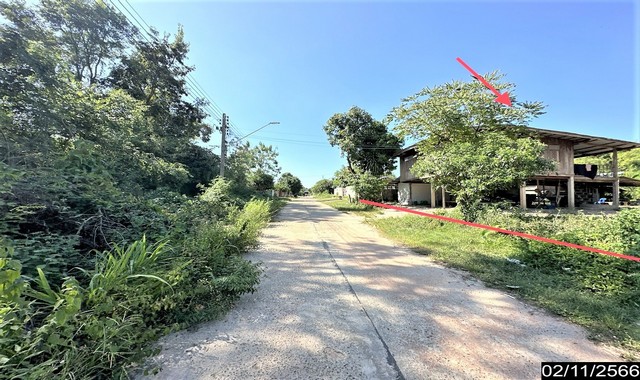 ขายบ้านเดี่ยวใกล้ โรงพยาบาลพนา อำเภอพนา จังหวัดอำนาจเจริญ PKK02-14812