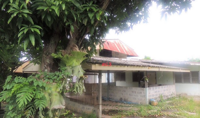 ขายบ้านเดี่ยวใกล้ โรงพยาบาลอำนาจเจริญ อ.เมือง จ.อำนาจเจริญ PKK02-13987