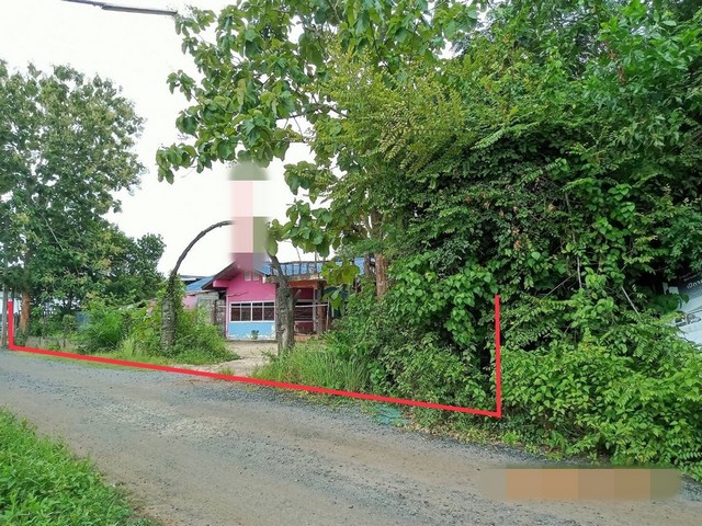 รายละเอียดเพิ่มเติมCode ID :  PKK02-09090ราคาขาย      3,258,000 บาท- ขนาดพื้นที่ :   200 ตร.ว (2 งาน)  - พื้นที่ใช้สอย :    250.10 ตร.ม- จำนวนห้อง :   - ห้องนอน - ห้องน้ำ - ที่จอดรถ :      1 คัน- บ้านเดี่ยว  :  1 ชั้น- บ้านเดี่ยวหันทางทิศ : -- อายุอาคาร :    11 ปีพิกัดทรัพย์  :   https://maps.app.goo.gl/L52BgHRtHLe1mR128สถานที่ใกล้เคียง- ใกล้แม็คโคร สุราษฎร์ธานี- ใกล้โลตัส โกเฟรช ตลาดพ่อขุนทะเล - ใกล้บุญถาวร สาขาสุราษฎร์ธานี- ใกล้เมกาโฮม สุราษฎร์ธานีสอ�