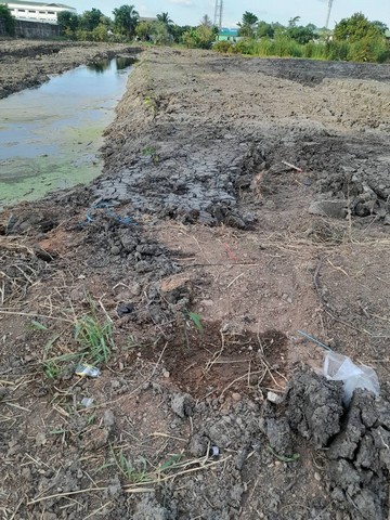 ขายที่ดินติดถนนพระราม2 กิโลเมตรที่17  หน้ากว้างติดถนน 80เมตร เนื้อที่ 9 ไร่