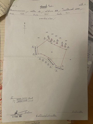 ขายที่ดินถมแล้ว อำเภอวัดสิงห์ จังหวัดชัยนาท ขนาด 9 ไร่ 2 งาน 11 ตารางวา