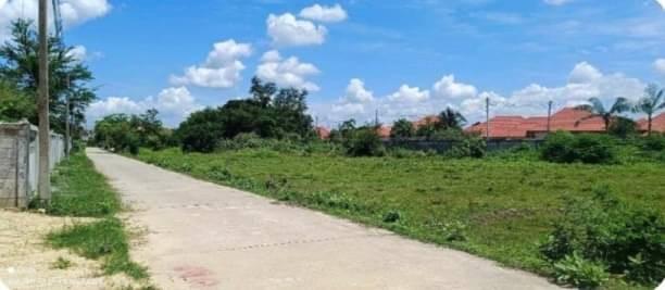 ขายที่เปล่า สี่เหลี่ยมสวย 2.8 ล้าน เนื้อที่ 200 ตรว. #โซนหางดง #เหมาะสำหรับสร้างบ้าน สงบ ใกล้เมือง #ใกล้นานาชาติปัญญาเด่น 2 นาที