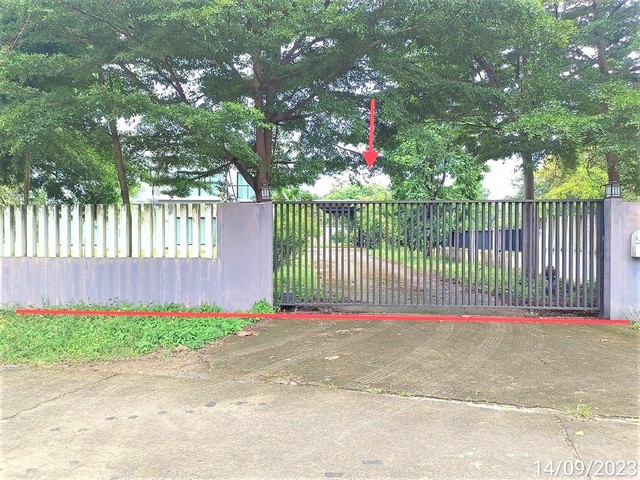  รายละเอียดเพิ่มเติม Code ID : PKK02-13186  ราคาขาย  4,110,000 บาท- ขนาดพื้นที่ :  533.70 ตร.ว. - พื้นที่ใช้สอย :  288.00 ตร.ม. - จำนวนห้อง :  4 ห้องนอน 2 ห้องน้ำ  - ที่จอดรถ :    1   คัน- บ้านหันทางทิศ :  พิกัดทรัพย์ : https://maps.app.goo.gl/Cr8Ujs5kGeM2dYg56    สถานที่ใกล้เคียง- ใกล้แมคโดนัลด์ อุบลสแควร์ อุบลราชธานี- ใกล้โลตัสโกเฟรชชยางกูร-ด้ามพร้า - ใกล้โลตัส โกเฟรช ถนนคลังอาวุธ- ใกล้ซุปเปอร์เกรซ  สอบถามเพิ่มเติม/นัดชมโทร. 097-419-5982(พลอย)โทร. 096-