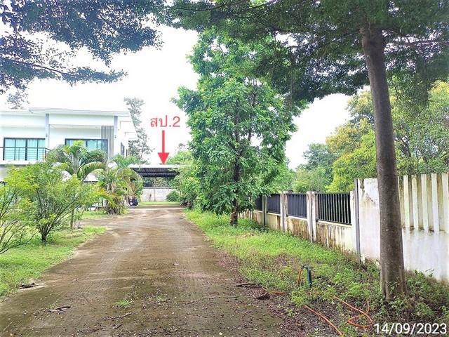 ขายบ้านเดี่ยวใกล้ โลตัสโกเฟรชชยางกูร-ด้ามพร้า อ.เมือง จ.อุบลราชธานี PKK02-13186