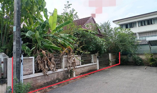 ขายบ้านเดี่ยว  อำเภอเมืองสุราษฎร์ธานี สุราษฎร์ธานี (PKK02-15343)