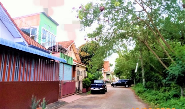 ขายบ้านเดี่ยว     อำเภอเมืองสุราษฎร์ธานี  สุราษฎร์ธานี (PKK02-12917)