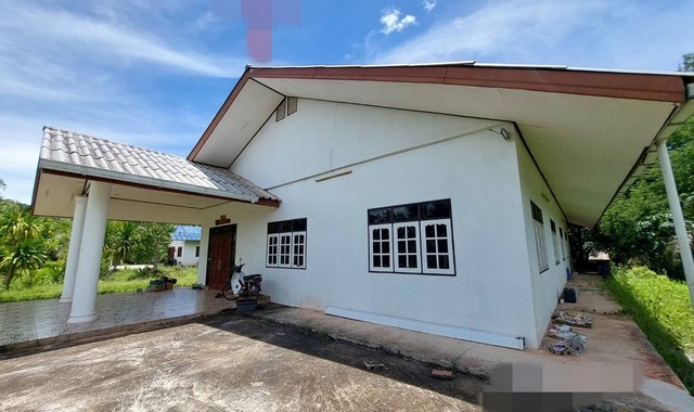 ขายบ้านเดี่ยว     อำเภอเมืองสุราษฎร์ธานี  สุราษฎร์ธานี (PKK02-12910)