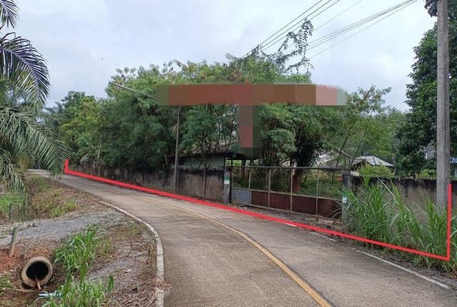 รายละเอียดเพิ่มเติมCode ID : PKK02-12827ราคาขาย      11,057,000 บาท- ขนาดพื้นที่ :   1,200 ตร.ว (3 ไร่)- พื้นที่ใช้สอย :   425 ตร.ม- จำนวนห้อง :   3 ห้องนอน 2 ห้องน้ำ - ที่จอดรถ :   1-2 คัน- บ้านเดี่ยว :     1 ชั้น- บ้านเดี่ยวหันทางทิศ : -- อายุอาคาร :    17 ปี พิกัดทรัพย์    :    https://maps.app.goo.gl/ER4f3jpJrVeAibsd7สถานที่ใกล้เคียง- ใกล้โลตัส โกเฟรช  มอ สุราษฎร์ธานี- ใกล้โลตัส โกเฟรช ราชภัฎสุราษฎร์ธานี - ใกล้บิ๊กซี มินีถนนสร้างตนเอง 2 สุราษฏร์ธานี - ใ�