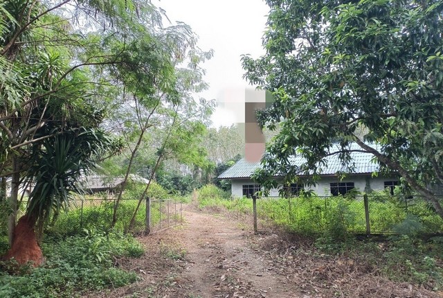 ขายบ้านเดี่ยว     อำเภอเมืองสุราษฎร์ธานี  สุราษฎร์ธานี (PKK02-12827)