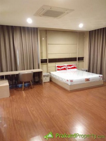 เช่าบ้านเดี่ยว The City Bangna ถ.สรรพาวุธ แขวงบางนา เขตบางนา กรุงเทพ