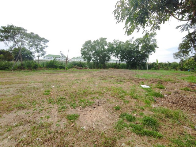 **ขายด่วน** ที่ดินลำลูกกาคลอง 2 ขนาด 1-0-50 ไร่ ใกล้โรงเรียนประสานมิตรรายละเอียด- ขนาด 1-0-50 ไร่ ติดทางสาธารณะ- กว้าง 60 เมตร ลึก 29 เมตร- ราคา 20,000 บาท/ตรว. (9,000,000 บาท)- ผังเมือง เหลือง (ปทุมธานี) เหมาะสร้างบ้านอาศัย- เข้า-ออกได้ 2 เส้นทาง ทั้งถนนลำลูกกา 11 และถนนรังสิต-นครนายก 46สถานที่ใกล้เคียง- BTS คูคต 5 กม.- สนามบินดอนเมือง- Future Park รังสิต*******************************โทร เอื้อ 092-328-7914Line ID: aeroaur*******************************ที่อยู่ ต.คู