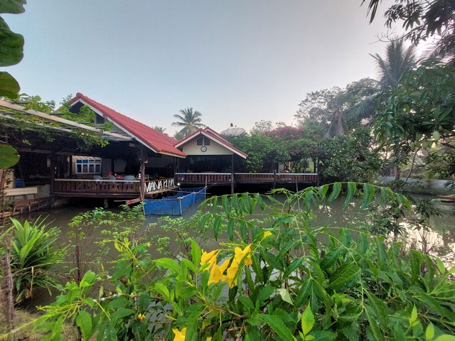 ให้เช่าเหมาะทำกิจการบ้านในสวน 100ตรว.มีบ่อปลา บ่อตกกุ้ง อำเภอบางเลน