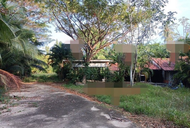 ขายบ้านเดี่ยว   อำเภอเกาะสมุย สุราษฎร์ธานี (PKK02-14327)