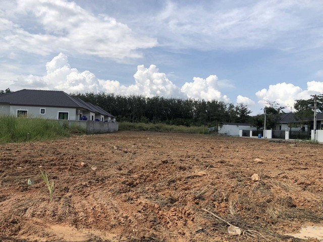 Sub0832ขายที่ดินทำเลดี  ขนาด  1 ไร่ 59.1 ตรว. ต.แม่น้ำคู้ อ.ปลวกแดง จ.ระยอง (เจ้าของขายเอง)ราคา 2,190,000 บาท ฟรีโอนสนใจติดต่อ081-9497822ขนาดที่ดิน 1ไร่ 59.1 ตรว. เป็นที่ดินภายในโครงการที่ดินถมแล้ว มีท่อระบายน้ำ มีไฟฟ้าติดถนนคอนกรีต 2 ด้าน เข้าออกสะดวก เข้าออกได้หลายเส้นทางสามารถแบ่งต่อได้เลย เกิน3 ปี แล้ว เข้าซอยวัดหนองมะปริง ใกล้โรงเรียนหนองมะปริงใกล้นิคมอุสาหกรรม WHA 4พิกัดต.แม่น้ำค