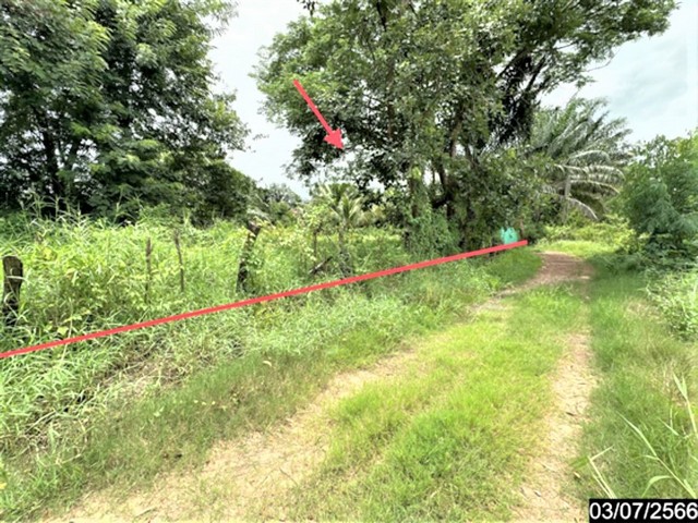  รายละเอียดเพิ่มเติม Code ID : PKK02-15461  ราคาขาย  3,489,000 บาท- ขนาดพื้นที่ :   460.90 ตร.ว.- พื้นที่ใช้สอย :  64.00 ตร.ม. - จำนวนห้อง :   1 ห้องนอน 1 ห้องน้ำ  - ที่จอดรถ :   1    คัน- บ้านหันทางทิศ : - พิกัดทรัพย์ : https://maps.app.goo.gl/61PddoirkrtEypVc9    สถานที่ใกล้เคียง- ใกล้แม็คโคร อุบลราชธานี- ใกล้โลตัส โกเฟรช ถนนคลังอาวุธ - ใกล้โลตัสโกเฟรชชยางกูร-ด้ามพร้า- ใกล้บิ๊กซี ซูเปอร์เซ็นเตอร์ อุบลราชธานี สอบถามเพิ่มเติม/นัดชมโทร. 097-419-5982(พ